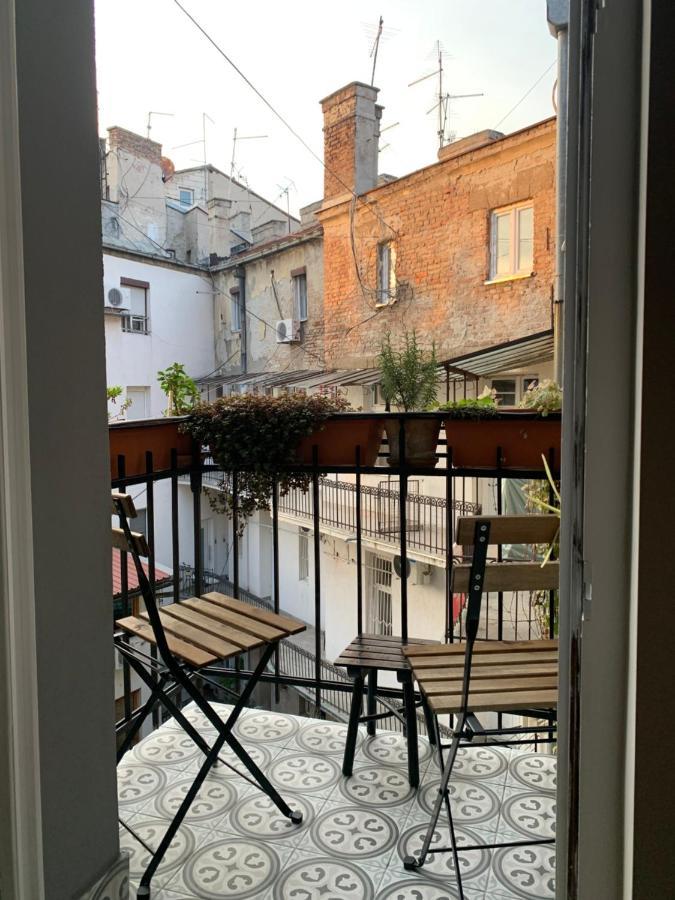 Dragonfly Belgrad